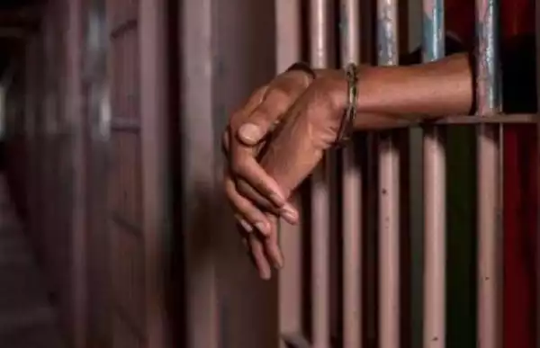 APC chieftain sent to prison in Abia